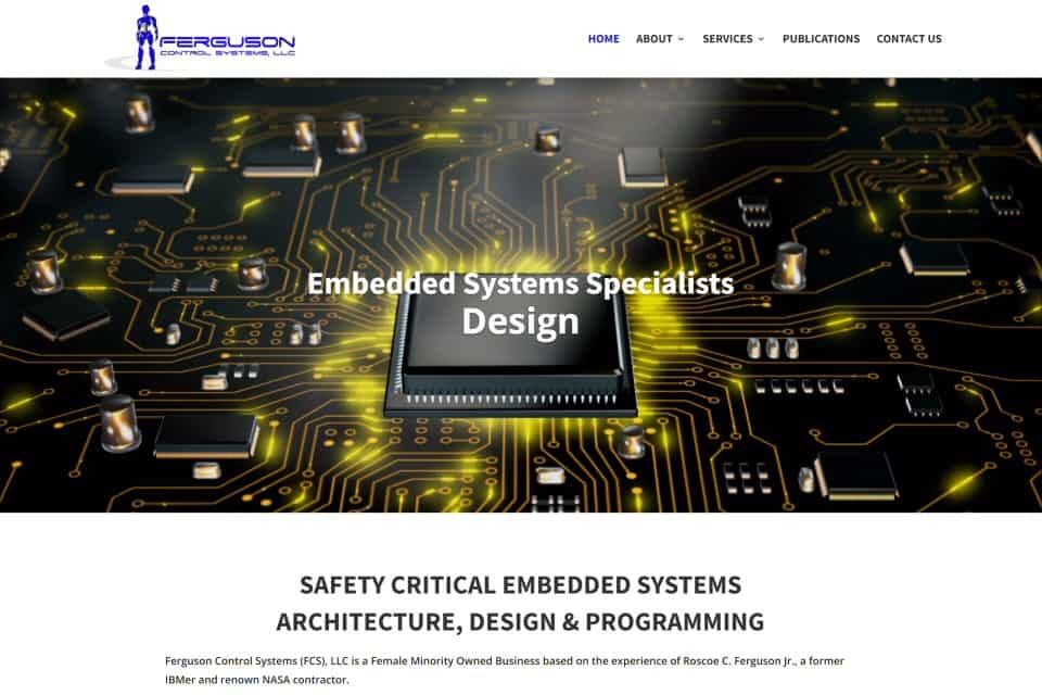 Ferguson Control Systems by Bellow Pro Wash